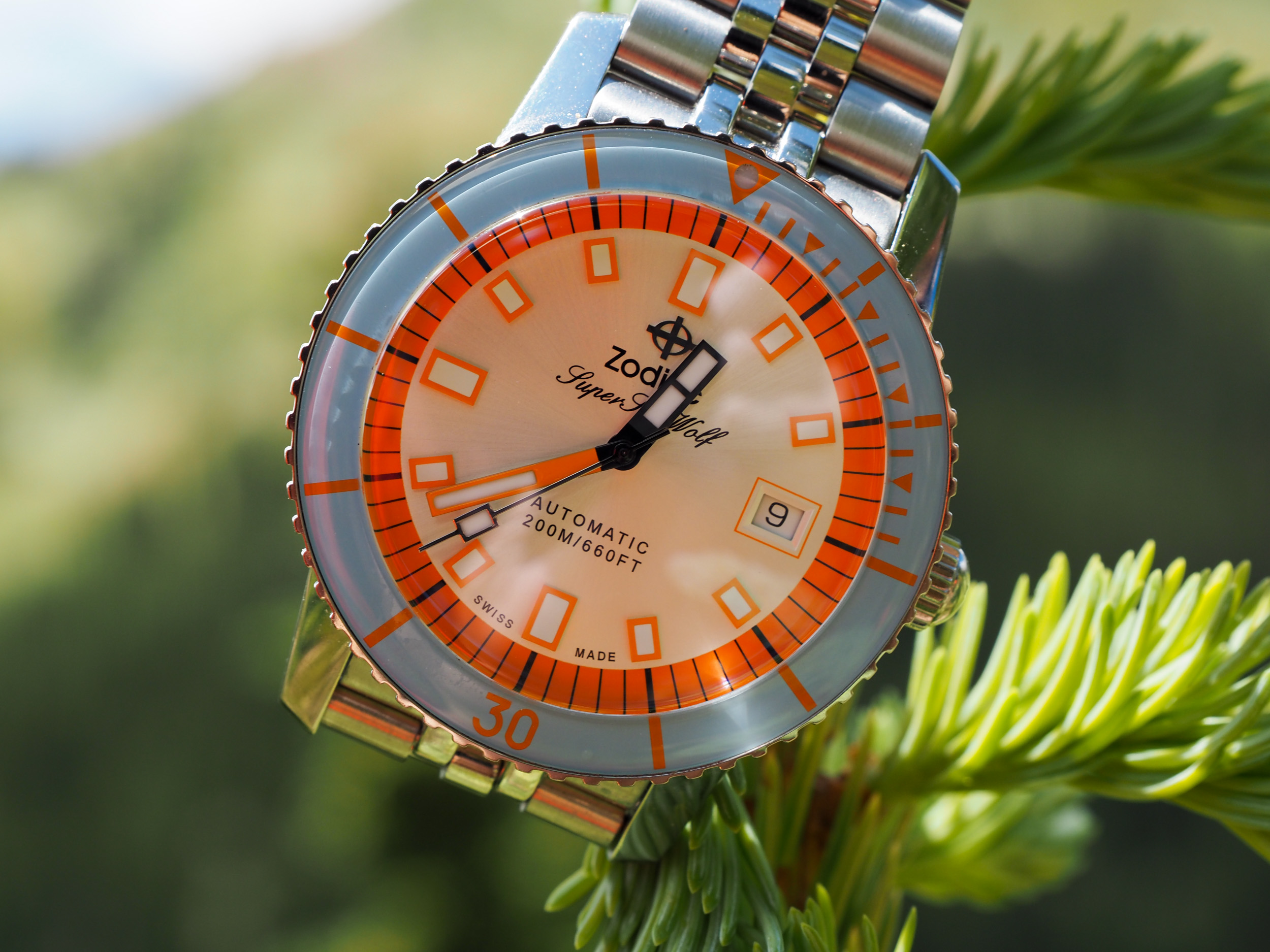Sea Wolf Watches: Are They Worth Your Money? Find Out Here!