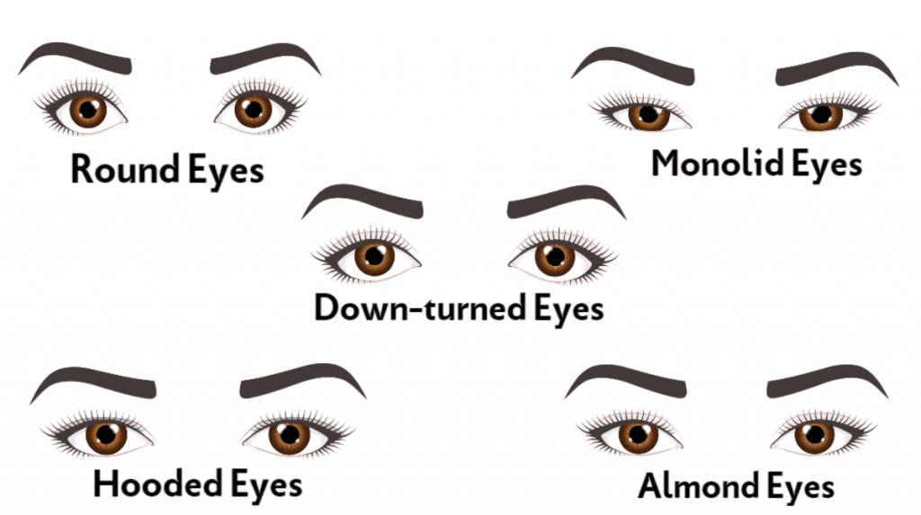 What are the different types of eye shapes? A simple guide to find out yours!