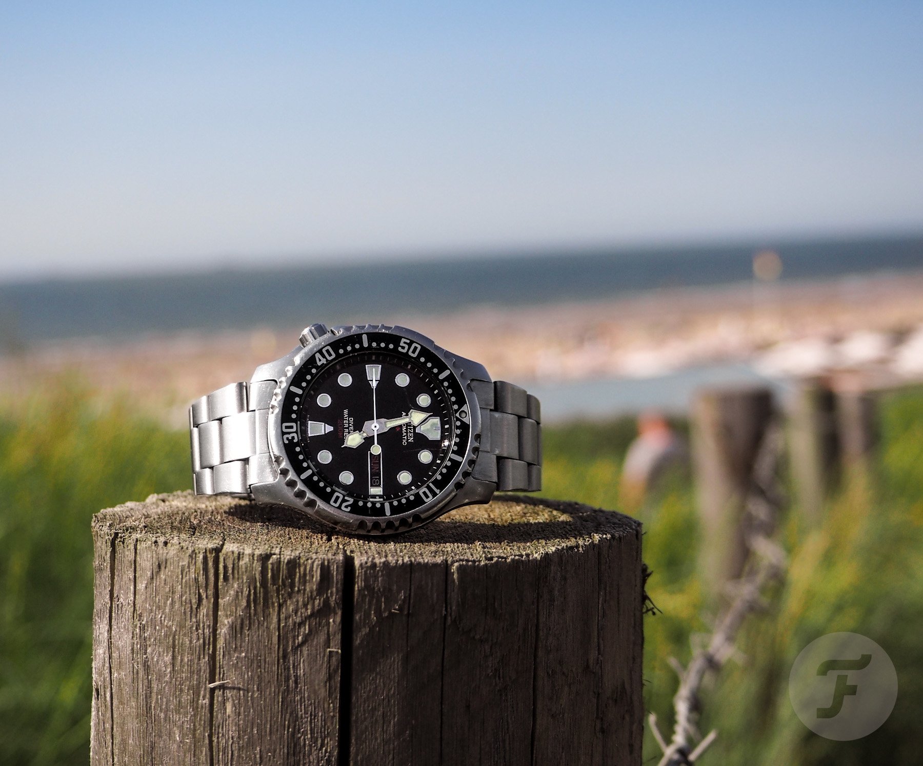 Citizen divers watch: how to choose the perfect one for your underwater adventures and daily wear