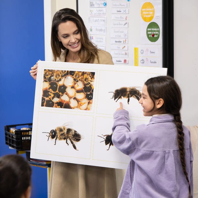 Jolie Bee: A Simple Guide to Understanding the Hype!