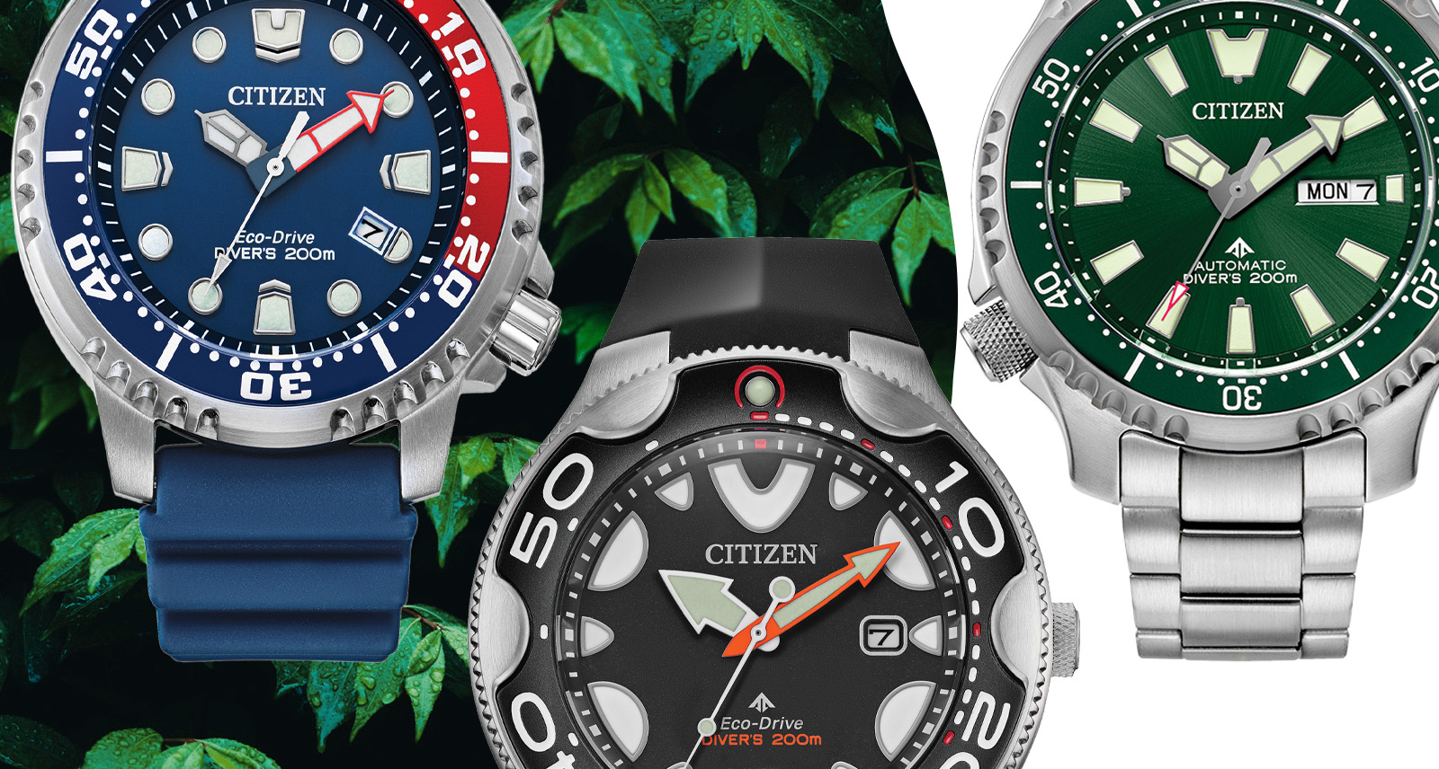 Citizen divers watch: how to choose the perfect one for your underwater adventures and daily wear