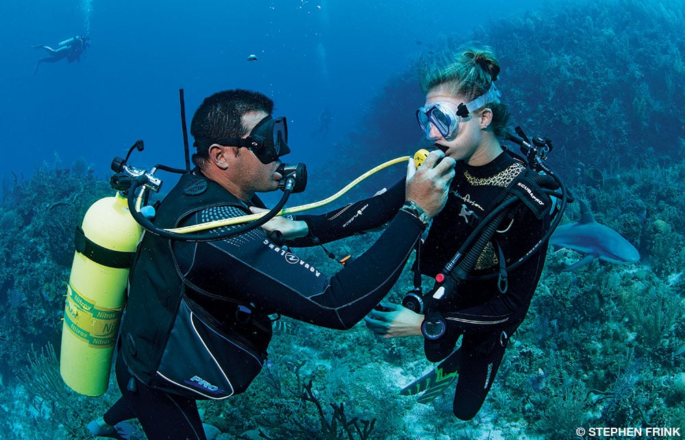 What is an octo buddy and how can it help you? Your diving questions answered.