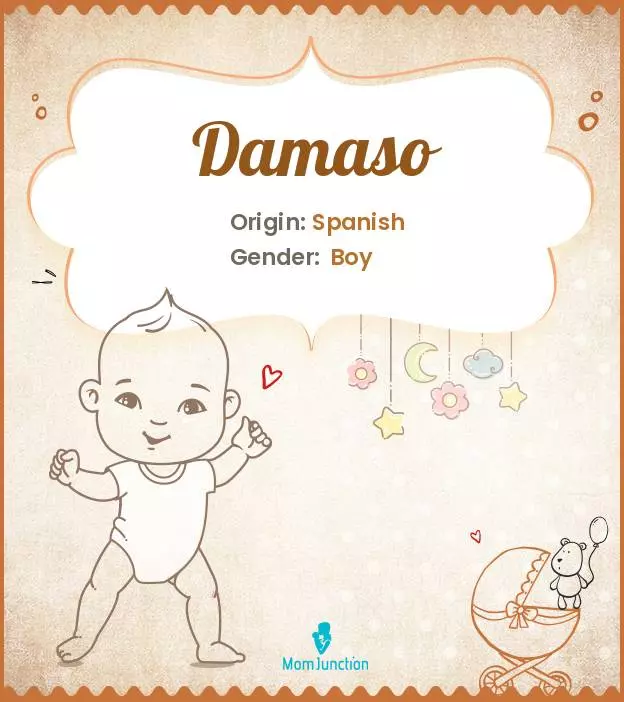 Damaso: What is it, and what are the simple key features?