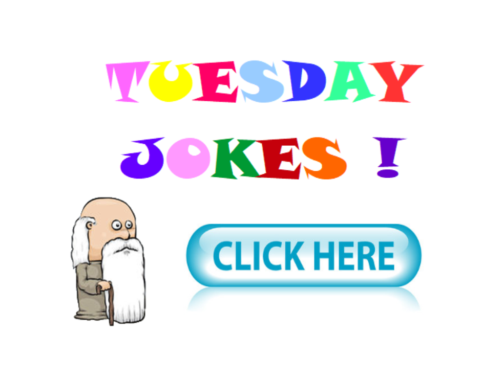 The History of Tomfoolery, the best and Funniest Jokes Ever!