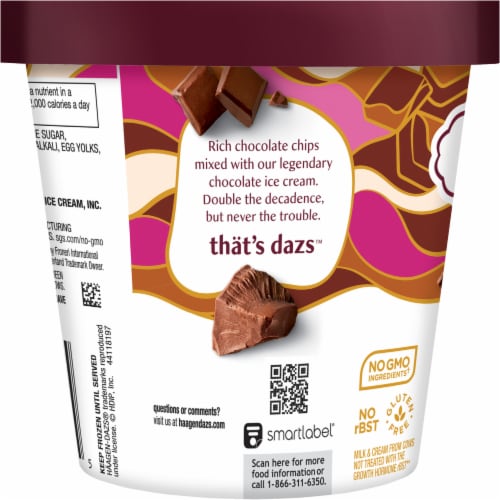 Haagen Dazs Chocolate Choc Chip Ice Cream: Ingredients & Calories Revealed!