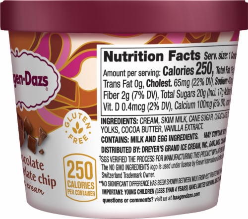 Haagen Dazs Chocolate Choc Chip Ice Cream: Ingredients & Calories Revealed!