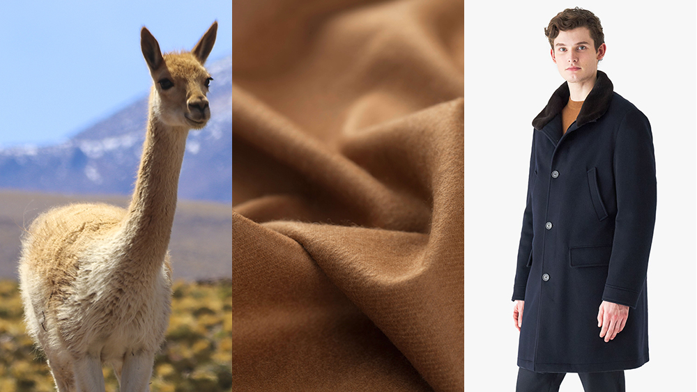 Where can you find an authentic 20000 coat? (Your simple guide to luxury shopping)