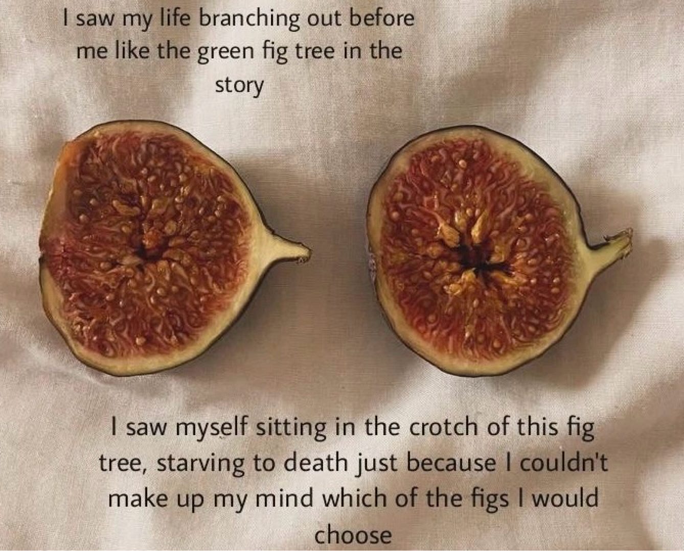 Sylvia Plath fig tree in The Bell Jar (What did this image mean for Esthers future path?)