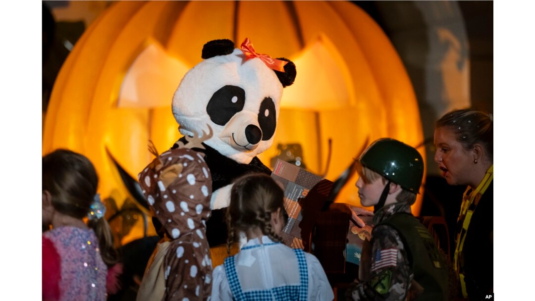 Decoding the jill biden panda costume meaning. What was she trying to say with that unique outfit?