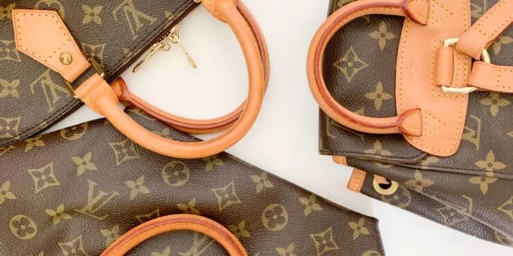 Whats really special about the lv woven bag (Learn about its cool and unique features)