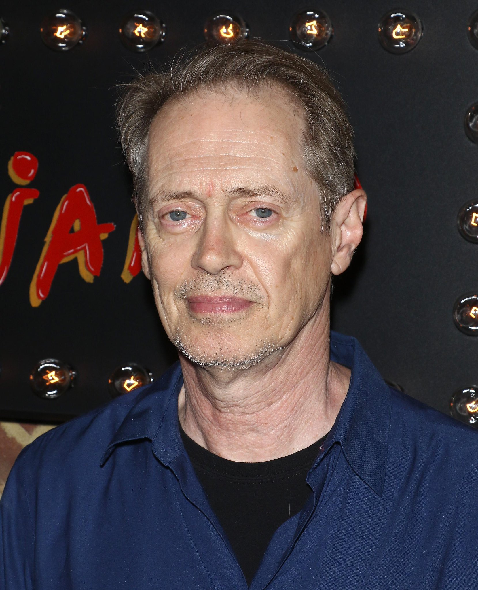 Steve Buscemi Sydney Sweeney project any updates (Discover if they are working together on something new)