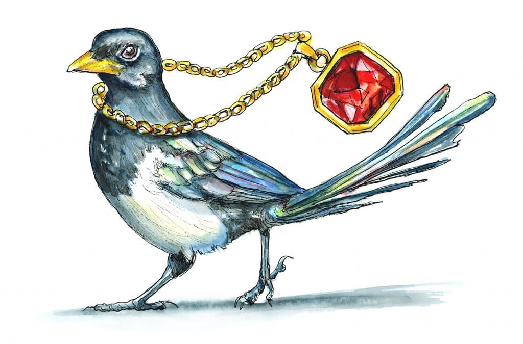Magpies collect things, but what exactly? See the strange and shiny items they absolutely love to hoard.