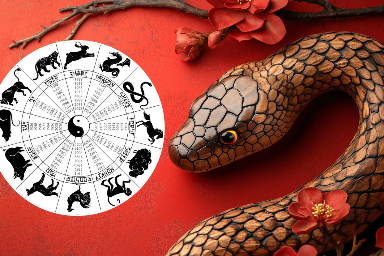 So, when is the year of the snake? Discover the pattern and if you were born in one.
