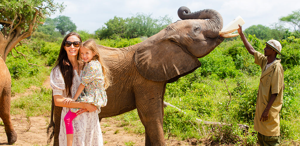 Where to Buy Chantecaille Elephant Best Places & Deals Now