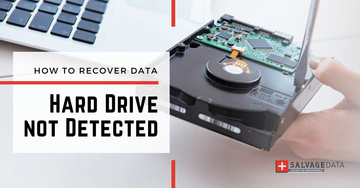 My hard drive does not show up, is my data lost? Discover ways to check and get your files back.
