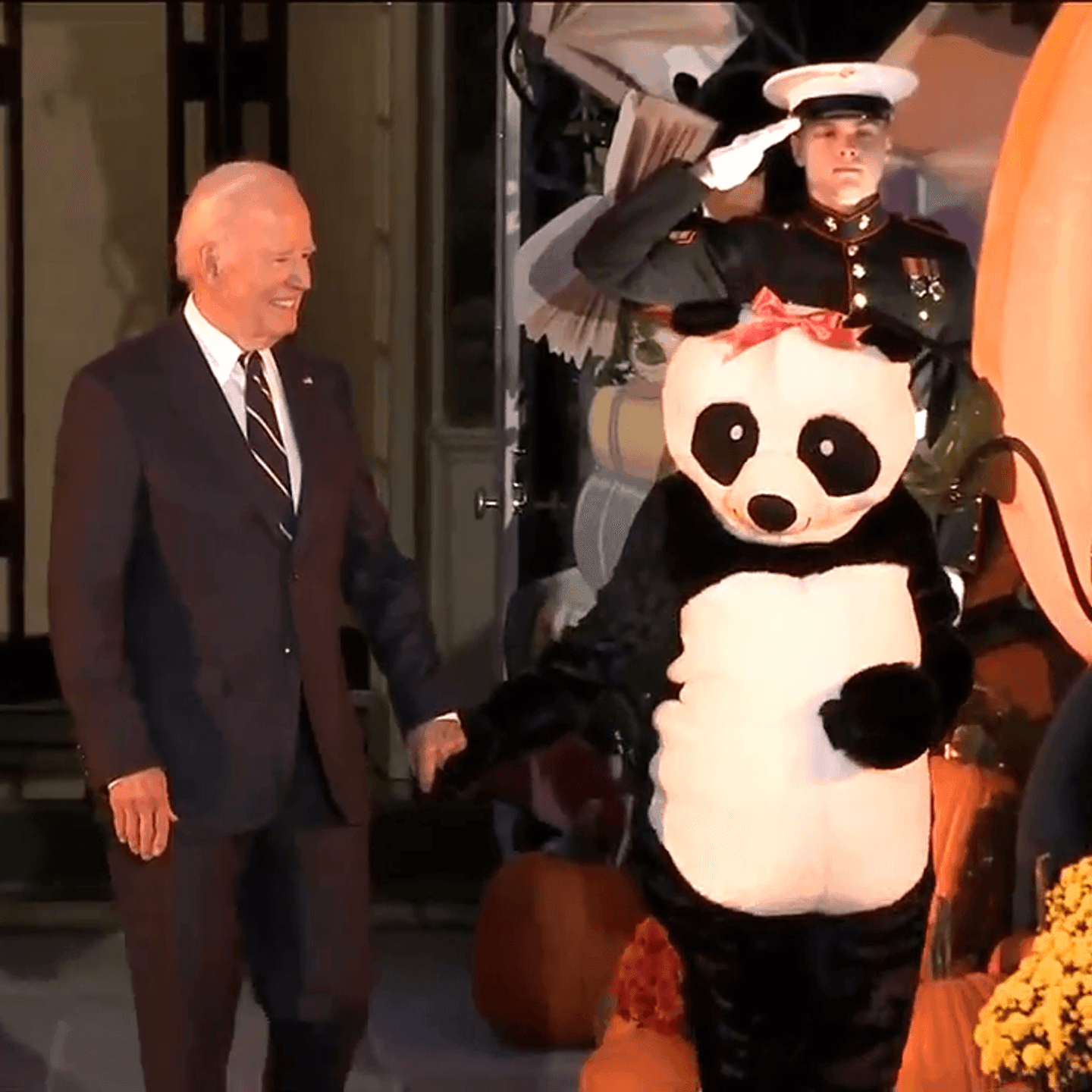 Lets uncover the jill biden panda meaning: What does this interesting symbol really stand for today?