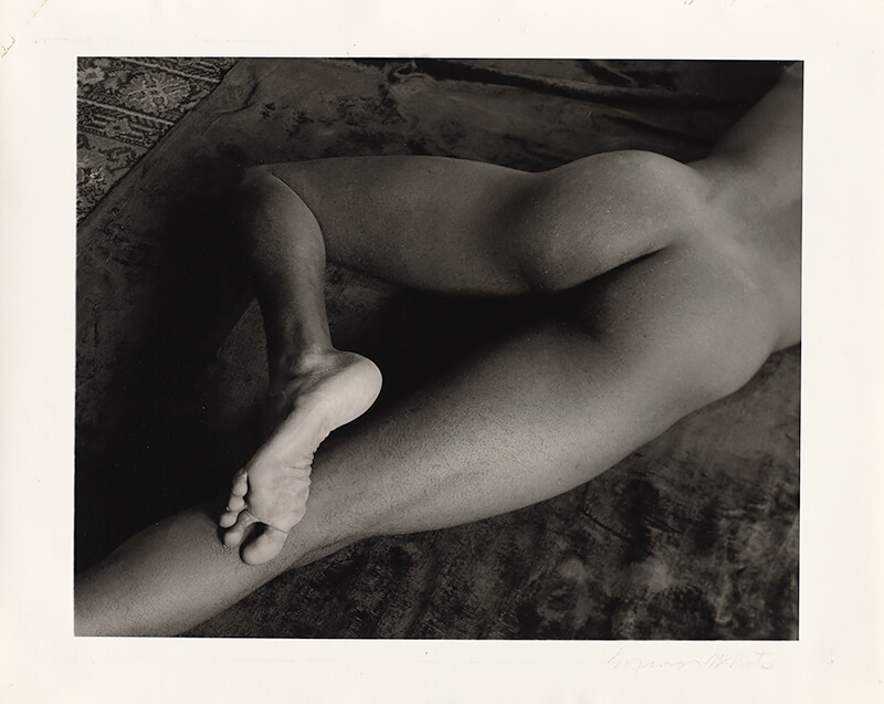 60s Nudes Photography: Famous Artists and Their Work