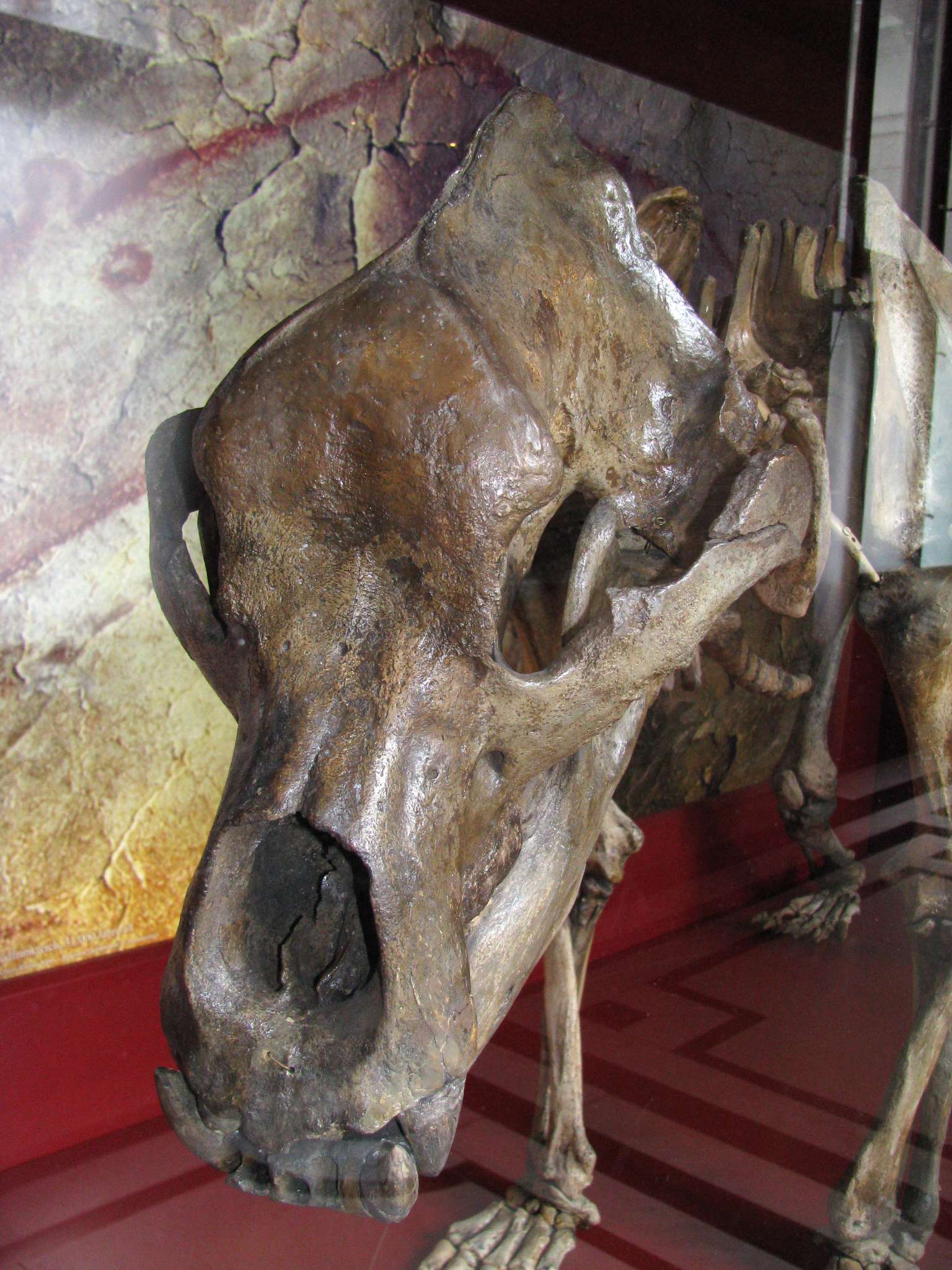 Etruscan Bear Fossils Found: Top 3 Discovery Sites Explained Simply!