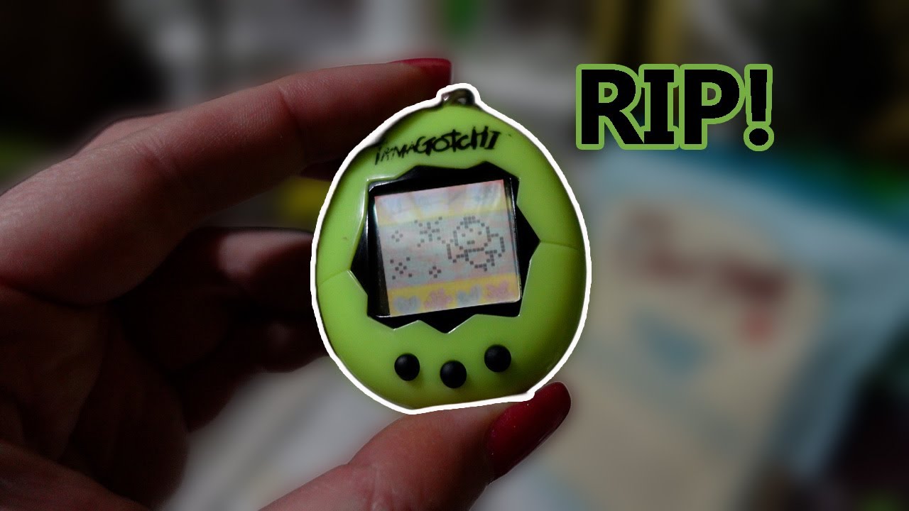 What happens when a tamagotchi dies asleep or gone forever explained