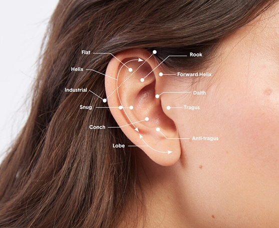 Piercing Pagoda Piercing Cost 3 Ways To Save Money Now
