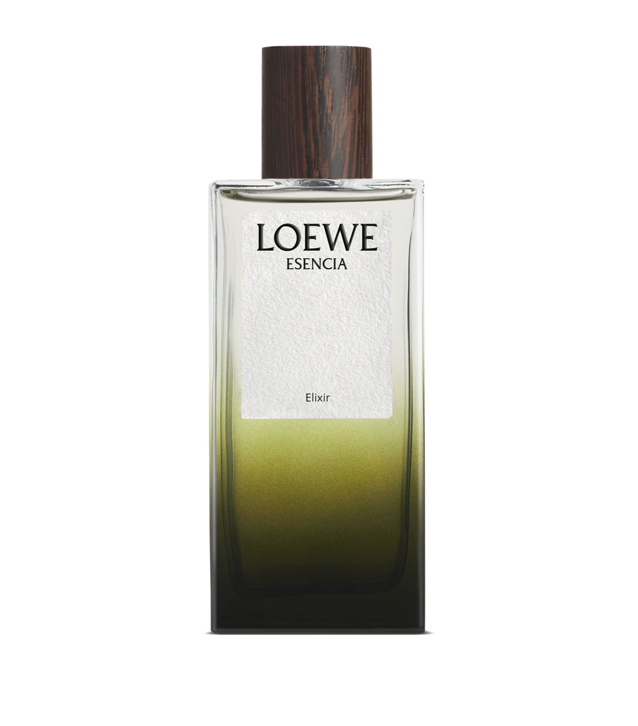 Loewe Perfume Best Scents? Top 5 Most Loved by Experts Today!