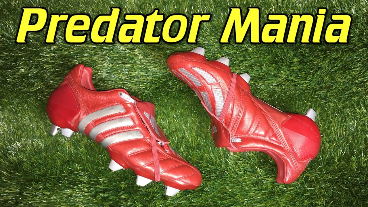 How predator mania 2002 works beginner tips for exciting wildlife adventures