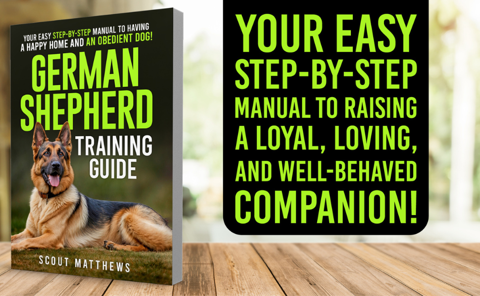 Dr Shepherd guide for beginners 10 easy steps explained now