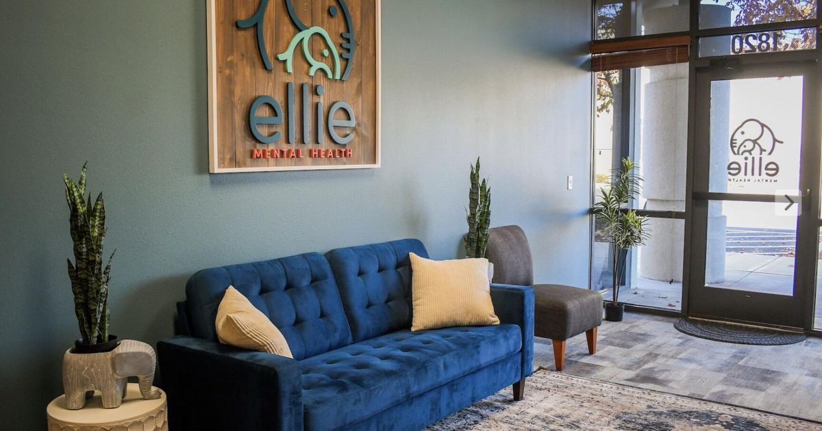Ellie Lawsuit Update - How Company Will Fix Mental Health Issues