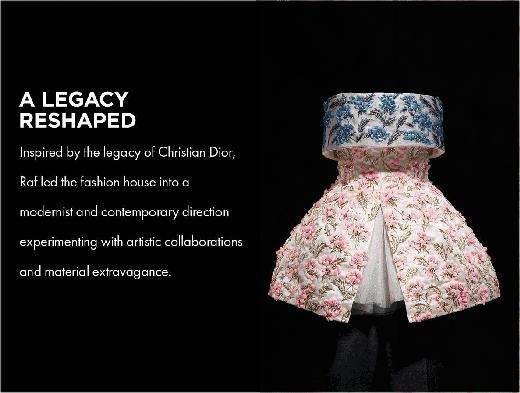 How to Buy Raf Simons Christian Dior Items (5 Easy Tips for Fashion Fans)