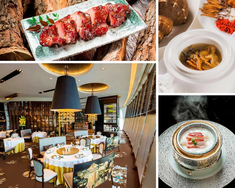 Does Macau Have Michelin Star Restaurants? Find Top Spots to Eat Now!
