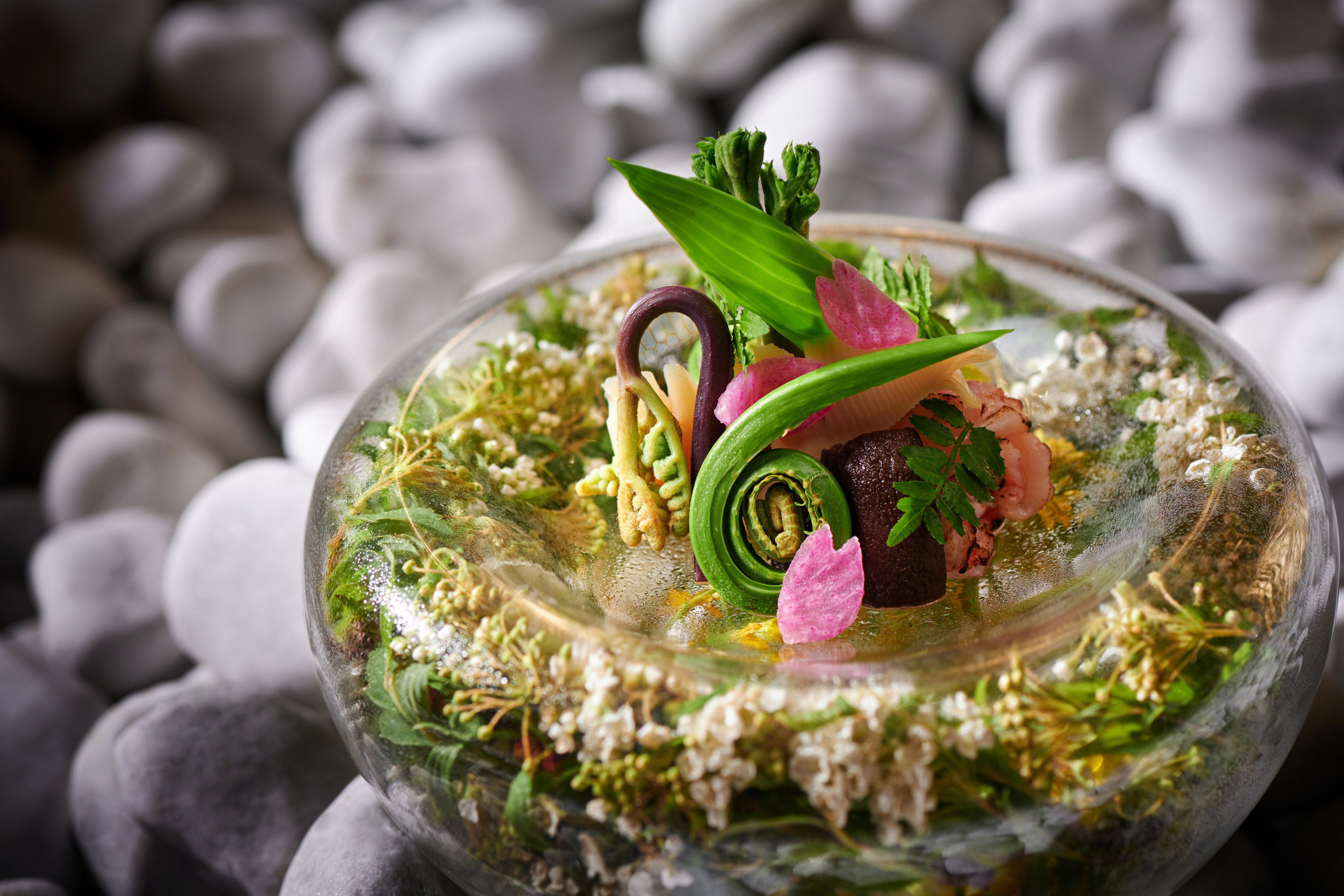 Does Macau Have Michelin Star Restaurants? Find Top Spots to Eat Now!